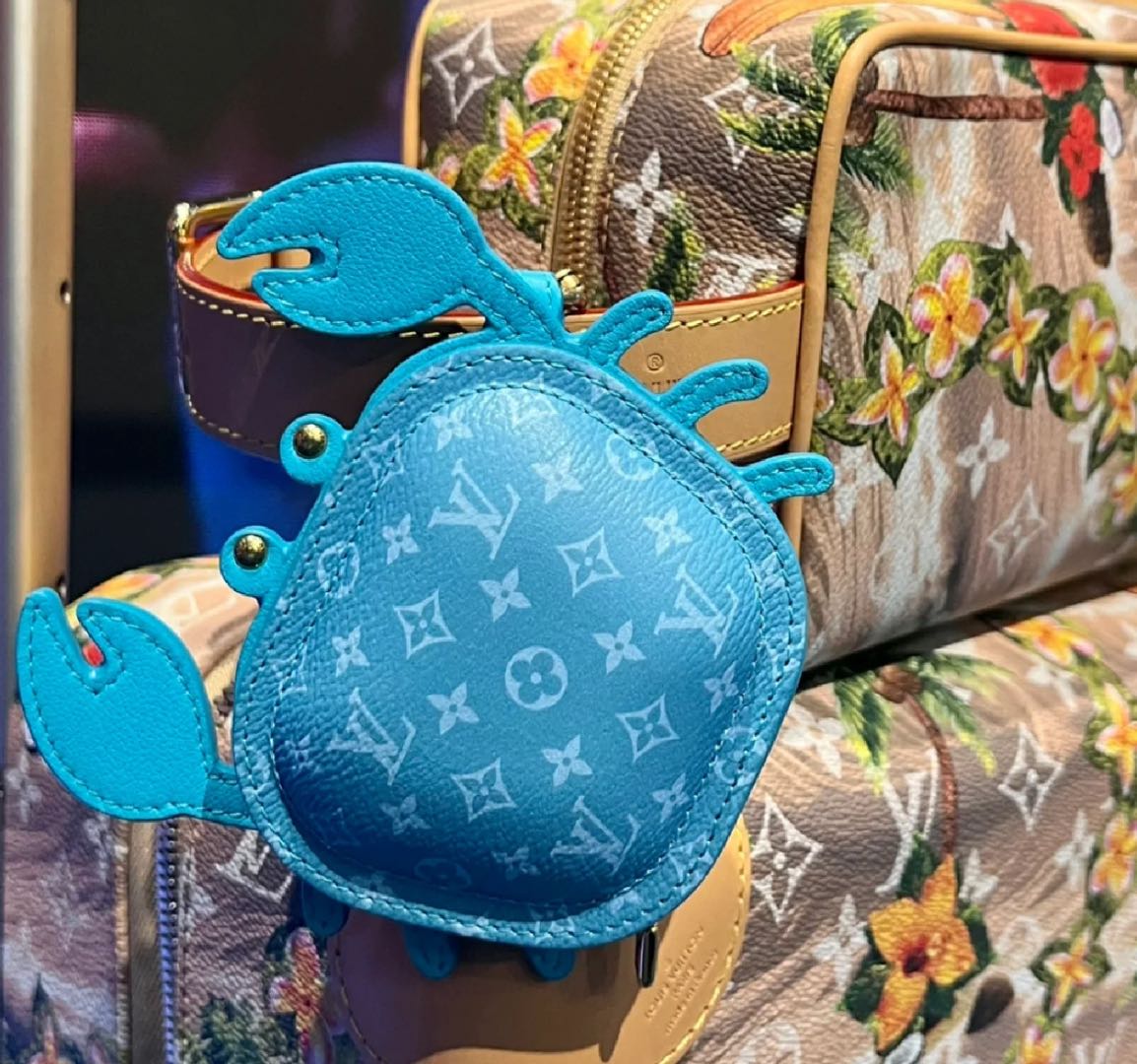 Luxury Mini Pouch – Earphone & Accessory Organizer